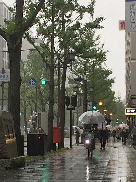 雨降る大阪 御堂筋に傘の花 もやでビル街かすむ光景も The Page Yahoo ニュース 雨降る大阪 御堂筋に傘の花 もやでビル街かすむ光景も The Page Yahoo ニュース