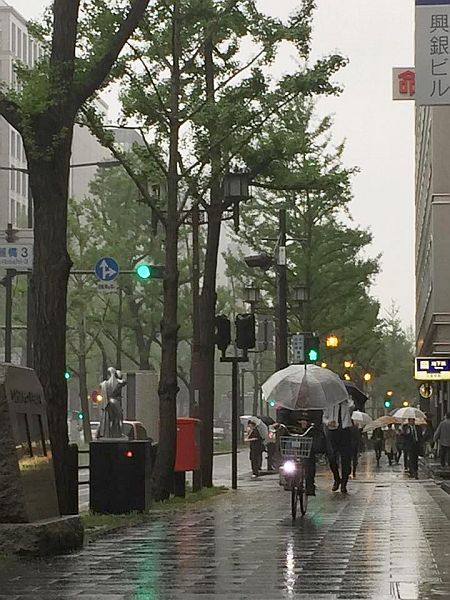 雨降る大阪 御堂筋に傘の花 もやでビル街かすむ光景も The Page Yahoo ニュース