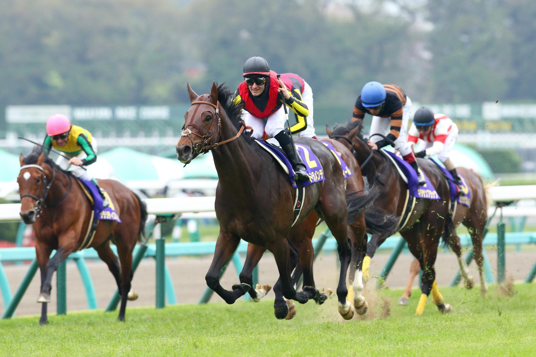 [写真特集]2015年皐月賞はドゥラメンテが豪脚で1冠制覇…ミルコ 