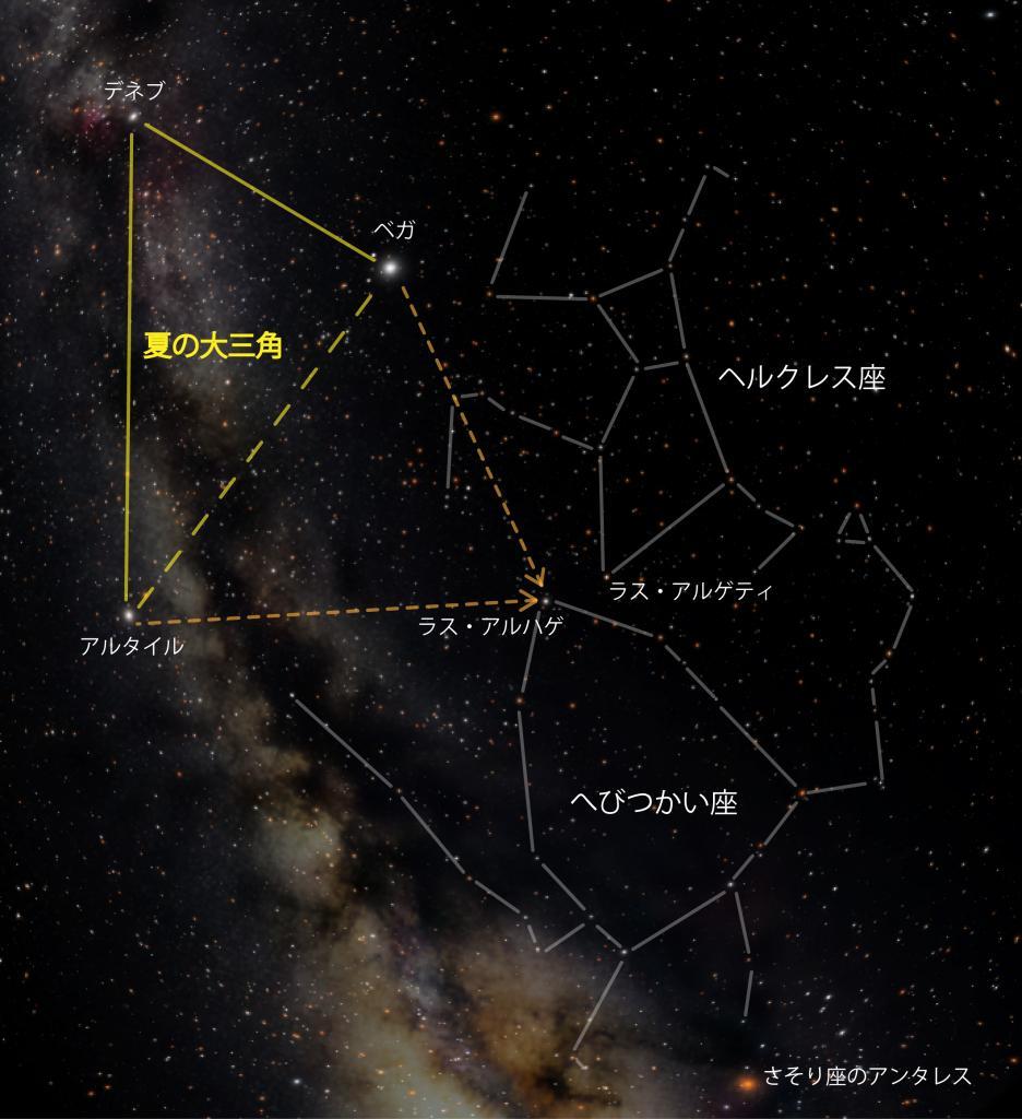 控えめに輝く「名医」と「逆さまの勇者」の星座を探してみましょう