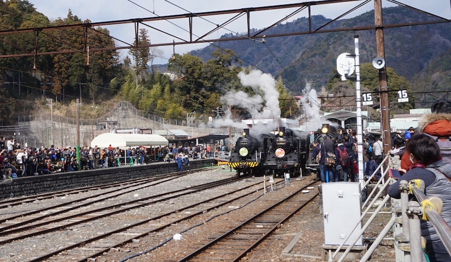 大井川鐵道に撮り鉄ズラリ 蒸気機関車C10-8とC56-44 が重連運転（THE