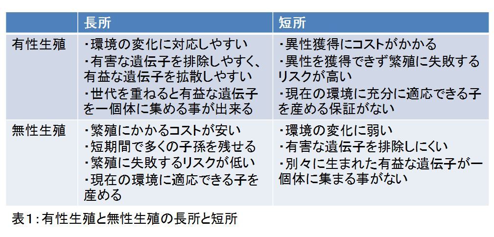 メスだけでゴキブリが増えるのはなぜ？ 昆虫たちの仁義なき繁殖戦略