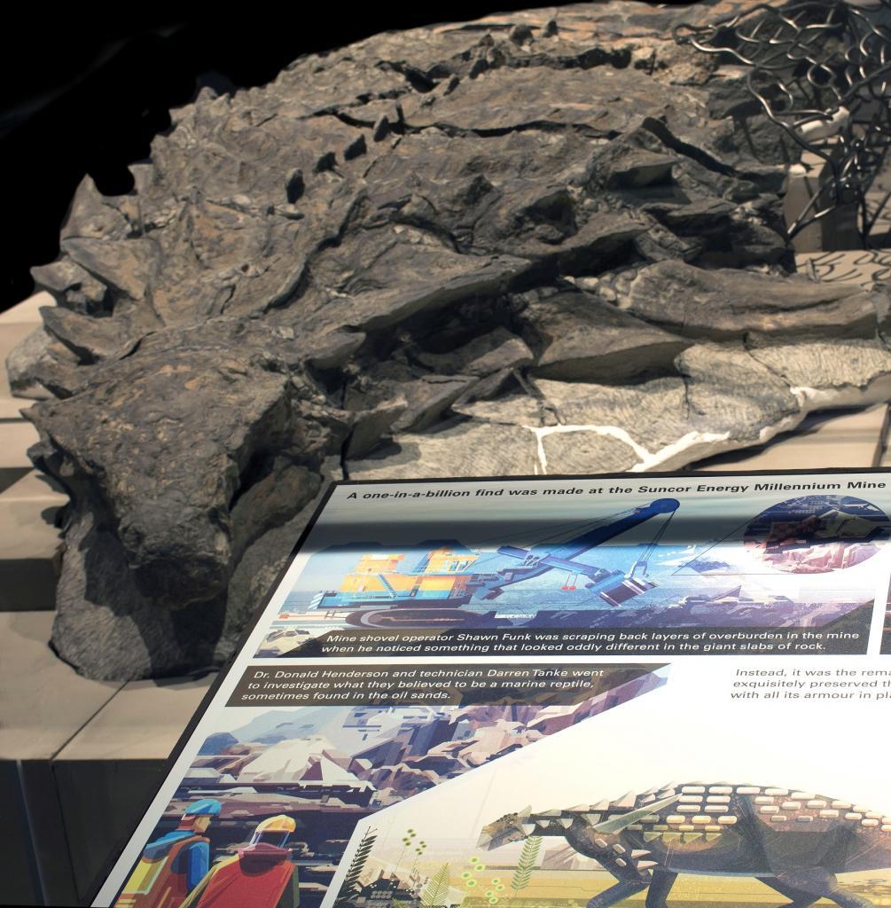 完全な姿とどめたミイラ化恐竜化石を発見 ── カナダ・アルバータ州 