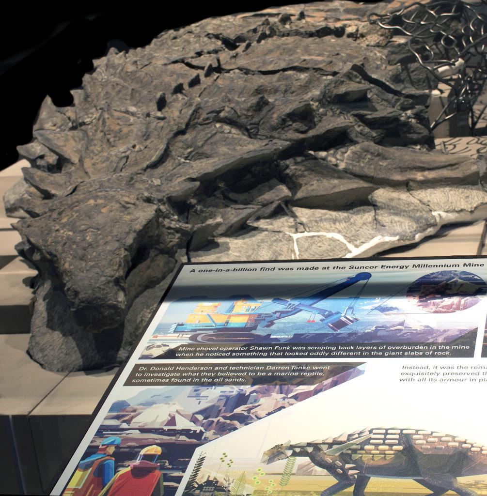 肉食恐竜の脅威で鎧が進化？ミイラ化恐竜化石の謎に迫る最新研究が発表