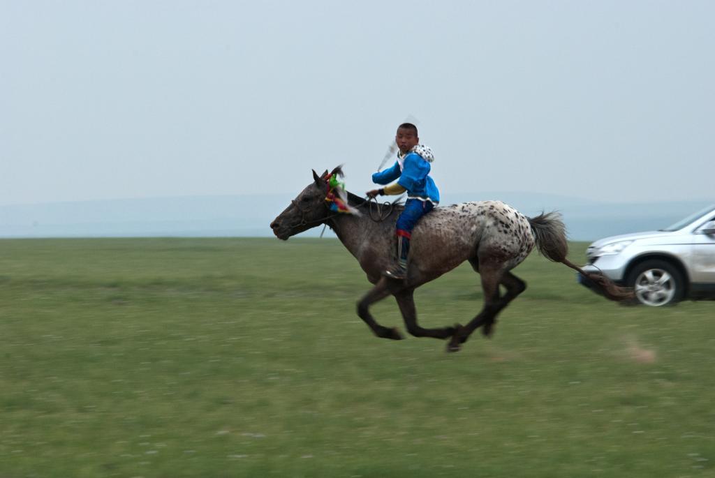 落馬で重体、死亡することも。モンゴル競走馬は体が軽い子供が乗るのが