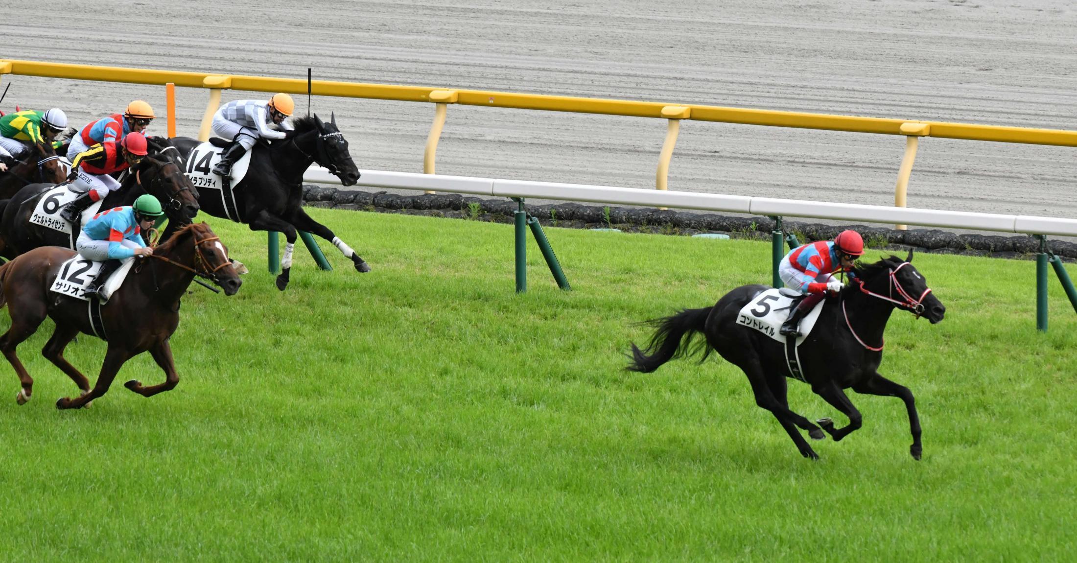 遊びながら」ダービー勝利の無敗2冠馬コントレイルは父ディープインパクトに並ぶスーパースターホースになれるのか？（THE PAGE） -  Yahoo!ニュース