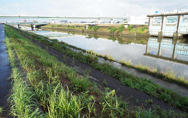 Yahoo!ニュース都市型水害の「東海豪雨」から20年 コロナ禍でも住民ら「語り継ぐ」