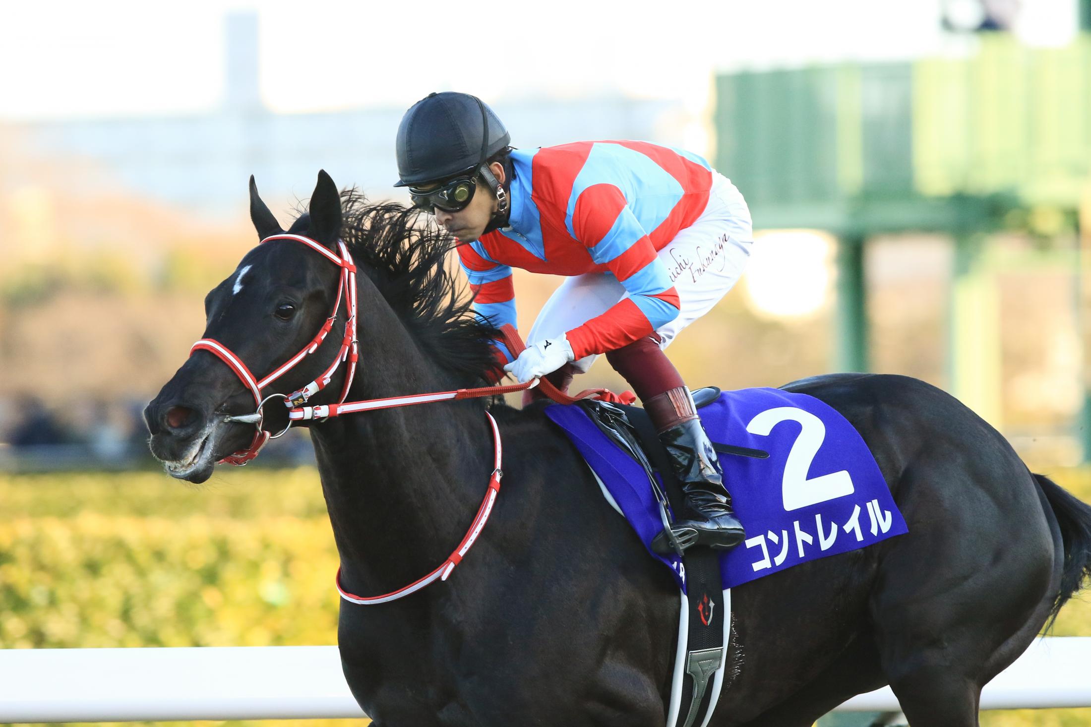 まねき馬 レインボーカード コントレイル 菊花賞 三冠達成 競馬カード