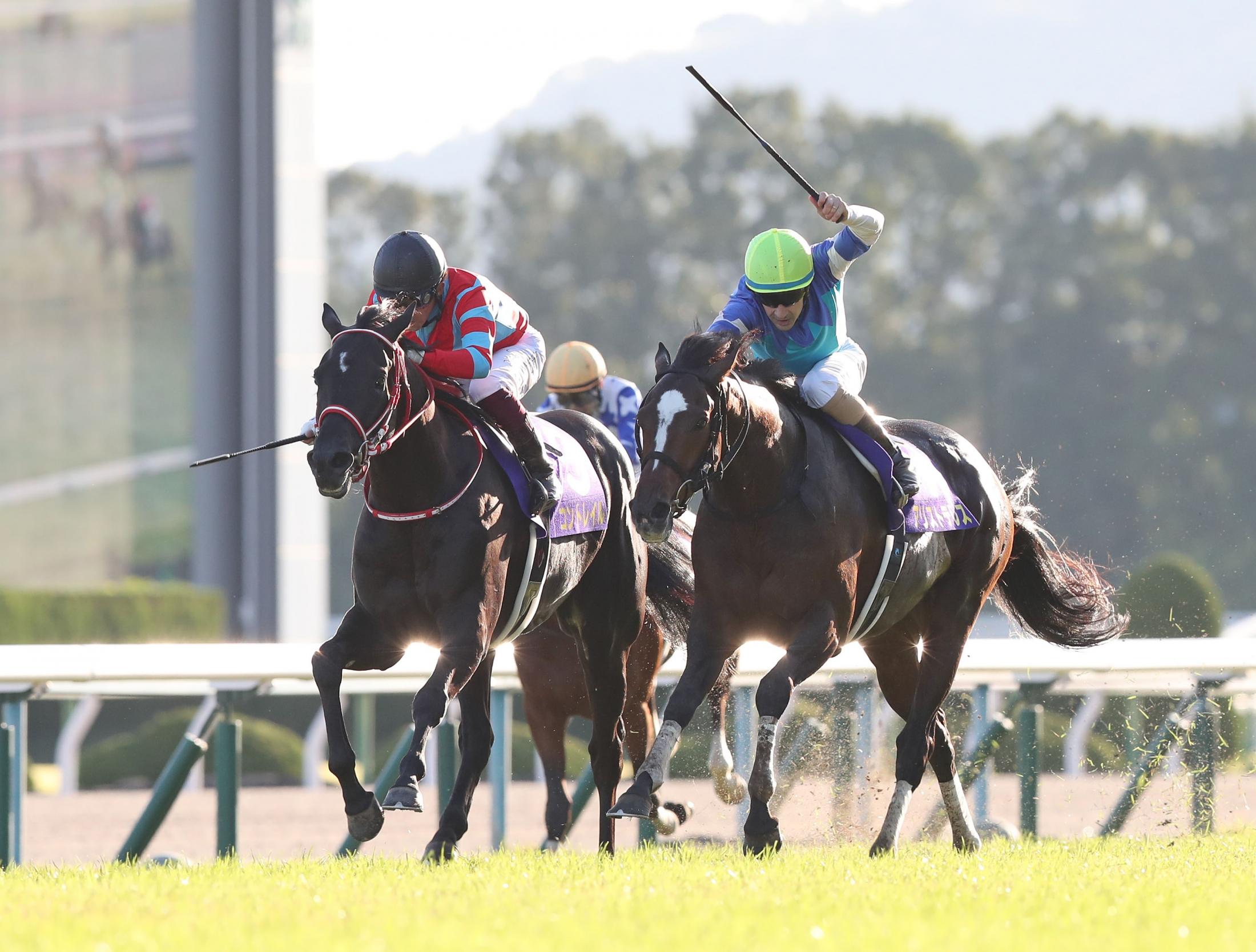 海外専門メディアもコントレイルの史上3頭目の無敗3冠偉業を称える