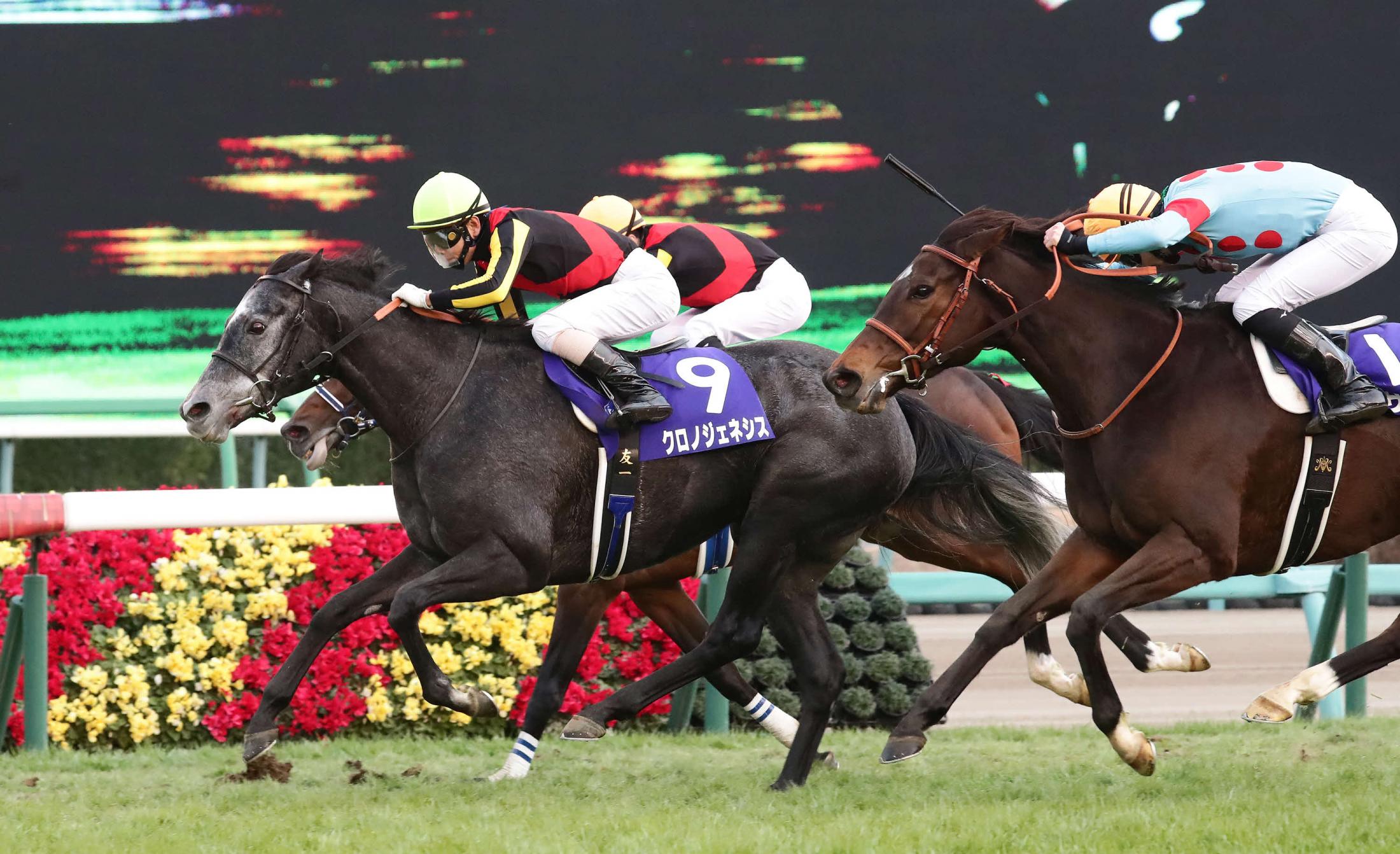 有馬記念を勝ったのも牝馬の1番人気クロノジェネシス…なぜ2020年の競馬