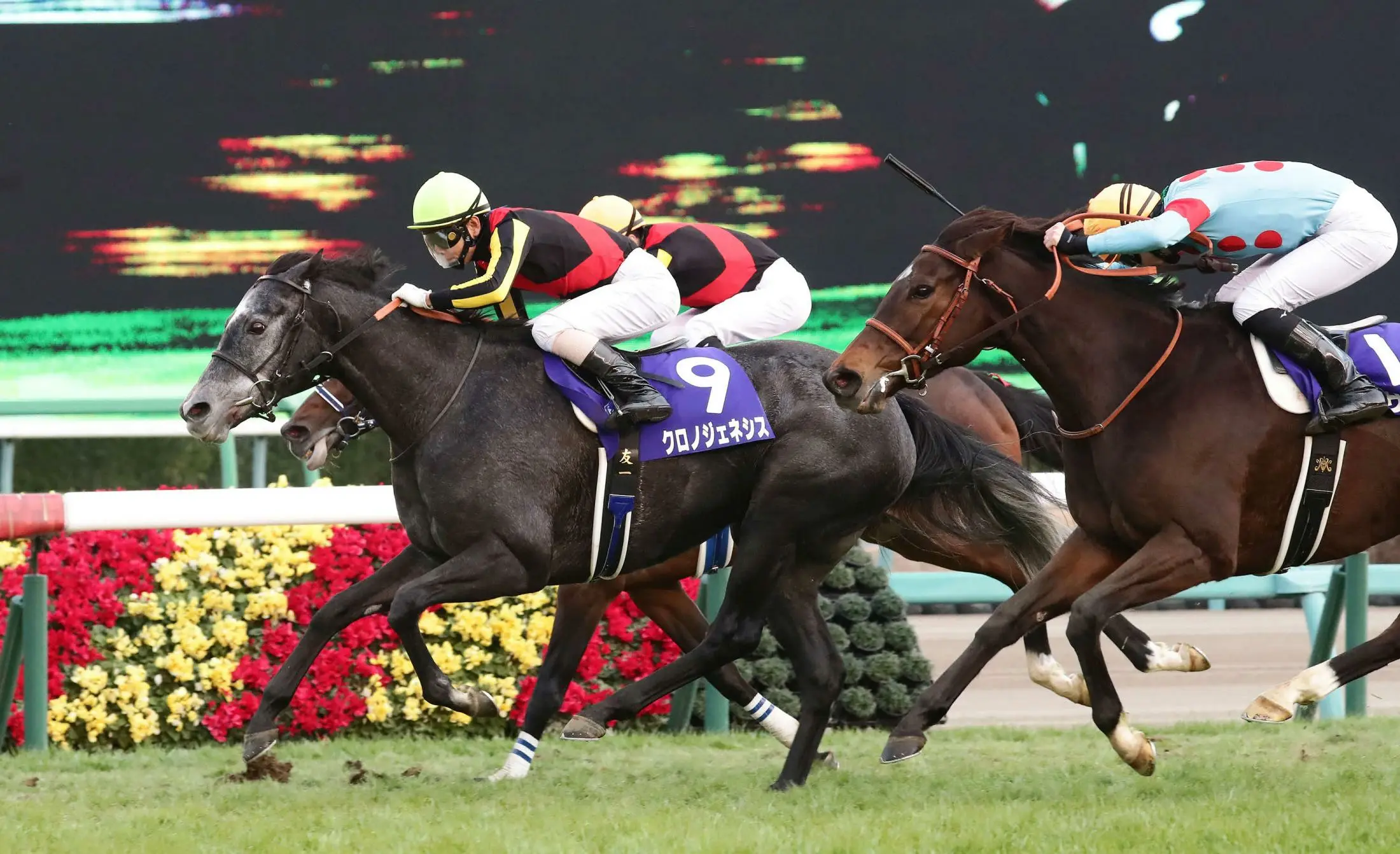 有馬記念を勝ったのも牝馬の1番人気クロノジェネシス なぜ年の競馬界は 女傑の時代 だったのか The Page Yahoo ニュース