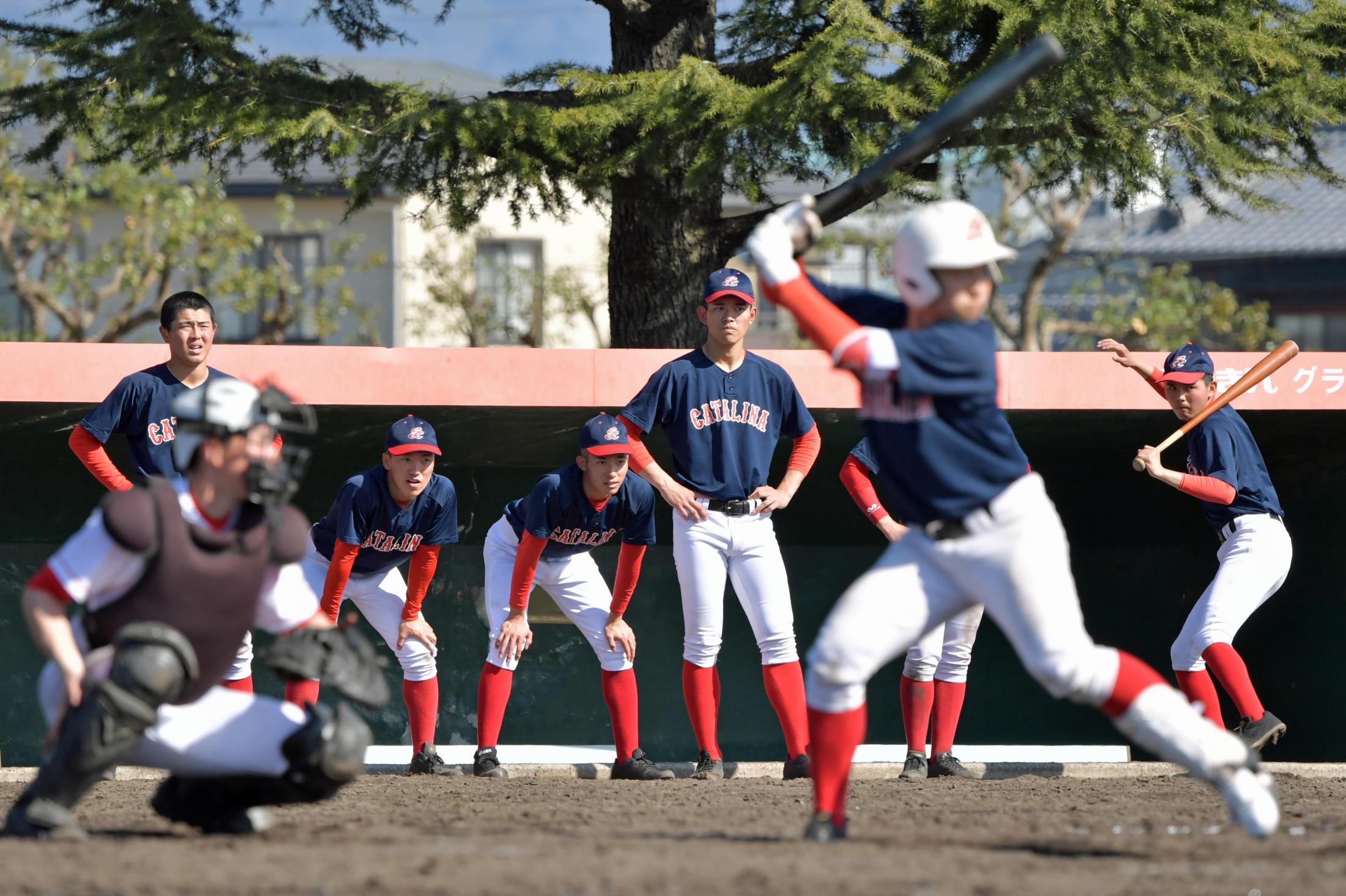 聖カタリナ学園 創部5年目、新たな歴史を作る春 選抜高校野球（センバツLIVE！） - Yahoo!ニュース