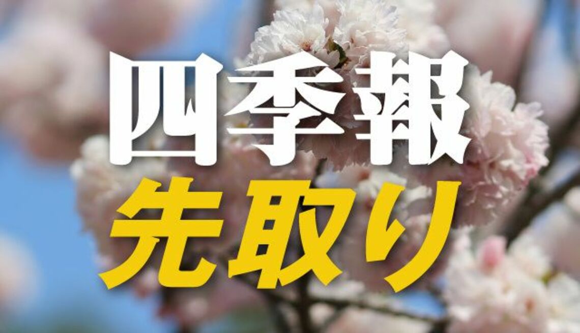 サプライズ② PER・PBRが割安な「春号」独自増額の5銘柄