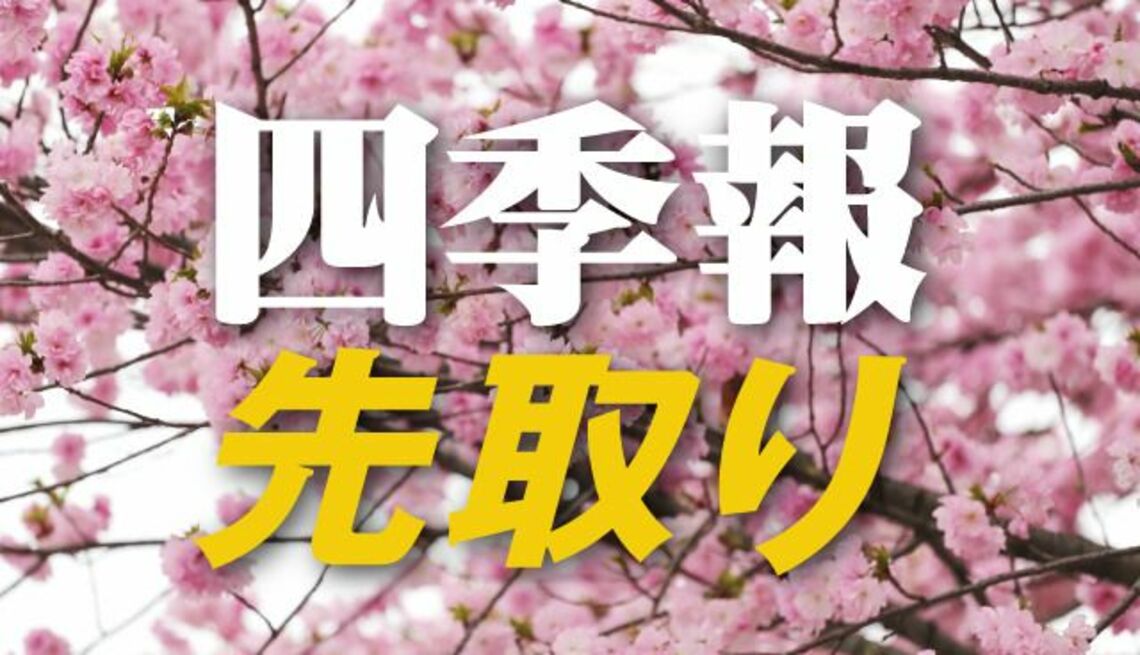 サプライズ④ 売られすぎの半導体「春号」独自増額5銘柄