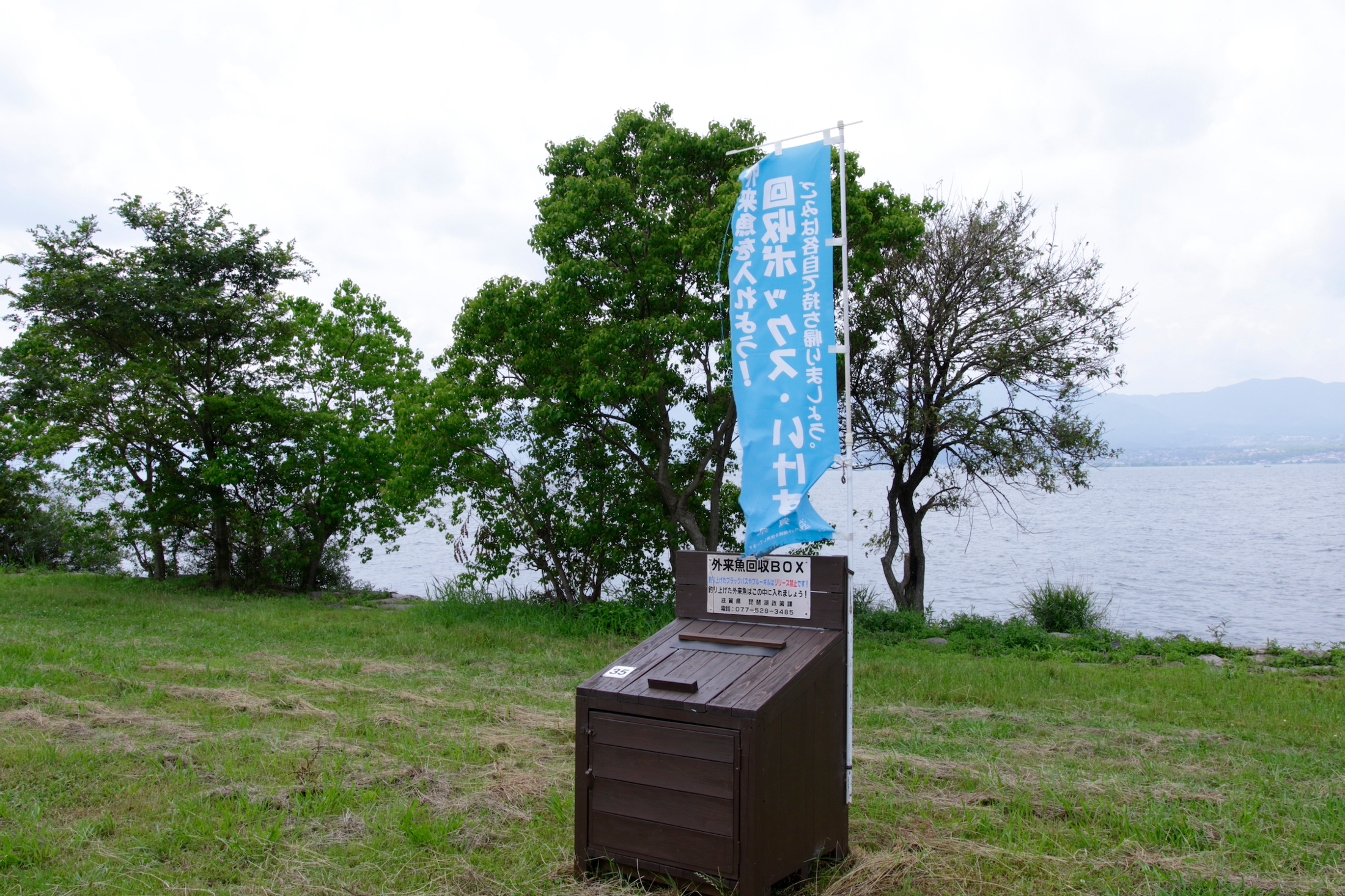 今も指摘される 密放流 10年に一度の漁業権切り替え ぜんぜん終わってない ブラックバス問題 Yahoo ニュース オリジナル 特集