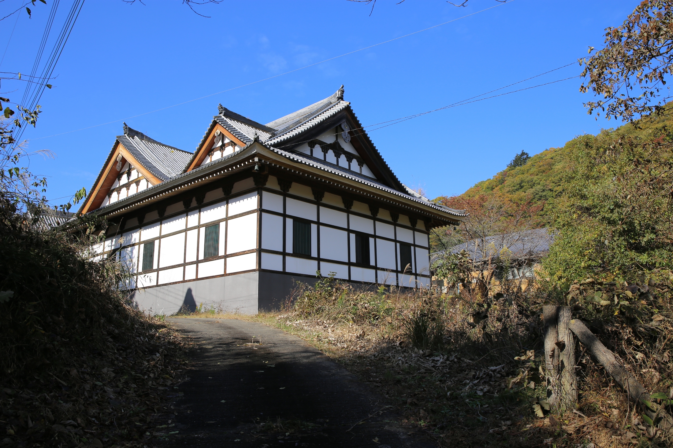 逐条解説 改正相続法 (逐条解説シリーズ) | 堂薗 幹一郎, 脇村