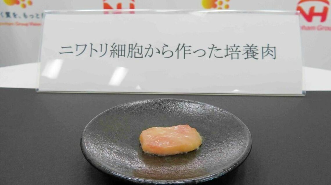 日本ハムが開発に本腰、次世代食品「培養肉」の現在地