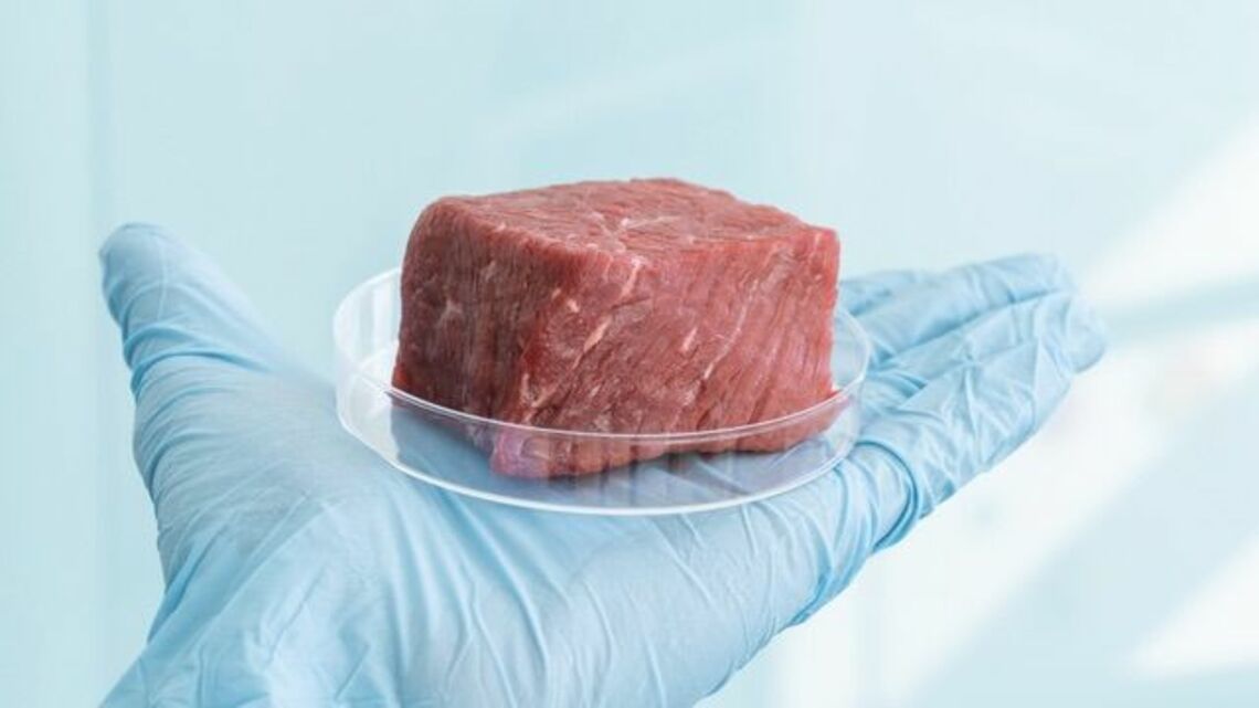 技術革新が相次ぐ「培養肉」ビジネスに熱視線送る5銘柄