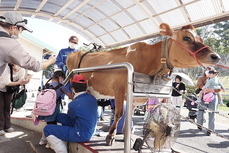 【酪農乳業界2023】酪農経営は未曽有の危機　新たな価値創造による消費拡大へ正念場