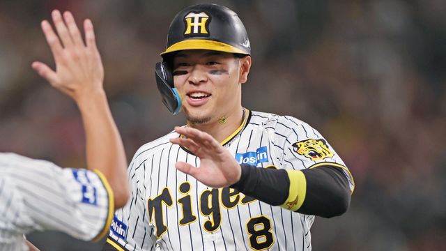 プロ野球応援ボード 佐藤輝明 阪神タイガース - 野球