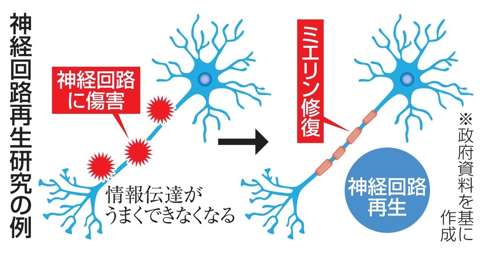 認知症研究、年度内に着手へ 政府、神経回路再生など前倒し（共同