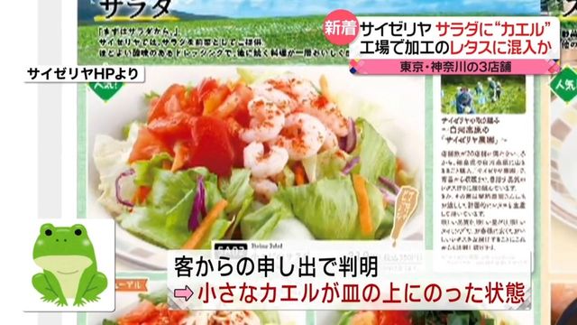 サイゼリヤ…サラダに“カエル” 東京・神奈川の3店舗 工場加工のレタスに混入か（日テレNEWS NNN） - Yahoo!ニュース