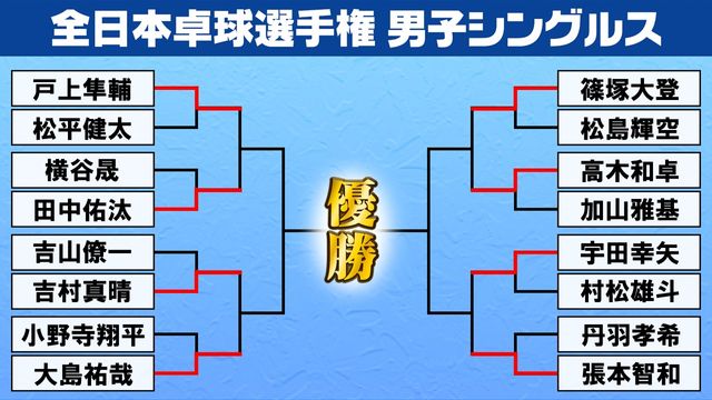 h27 年度 コレクション 全日本 選手権 d ベスト 8