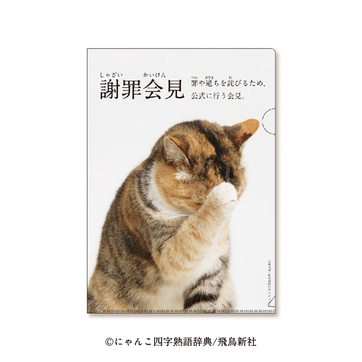 【郵便局】リアル猫ちゃんが可愛い！ 『にゃんこ四字熟語グッズ