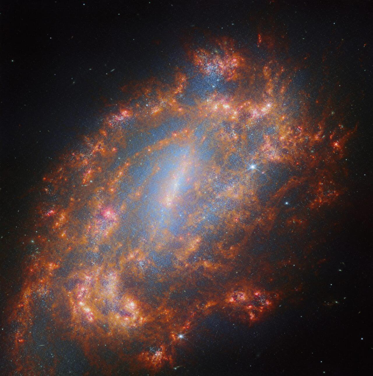ウェッブ宇宙望遠鏡で観測した“レチクル座”の孤独な棒渦巻銀河 