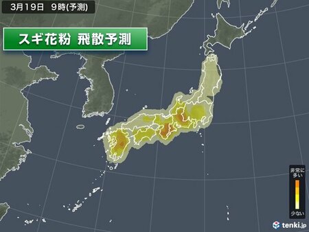 花粉　今日も九州～東北で飛散　西からスギのピークは越えつつも関東など大量飛散続く(tenki.jp)
