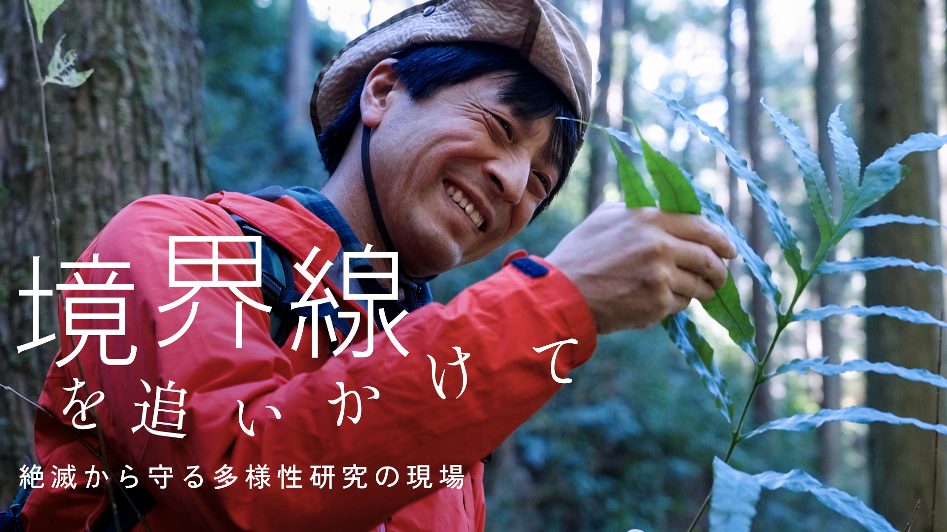 週刊朝日百科 世界の植物全120冊(30冊欠品)NHK朝ドラ「らんまん」