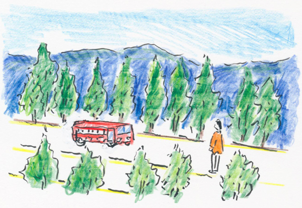 観光バスの中で中国人が「北国の春」を大合唱 黄河沿いの道は延々と続くポプラ並木（沢野ひとし）