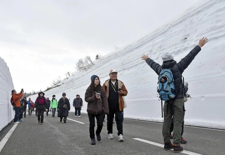 迫る雪壁　高さ7メートル　北海道・知床羅臼で5年ぶり「ウォーク」(北海道新聞)