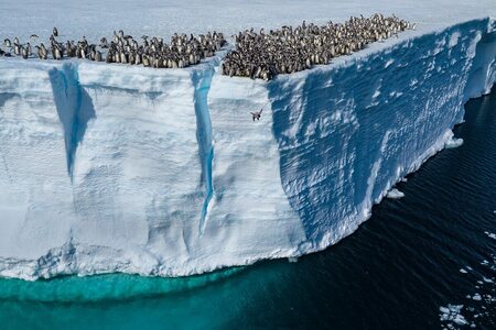 〈目撃〉棚氷の崖から次々に飛び降りるコウテイペンギンのひなたち、初の映像(ナショナル ジオグラフィック日本版)