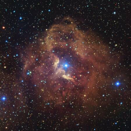 “走るニワトリ”の頭か足か　ケンタウルス座の輝線星雲「Gum 41」(sorae 宇宙へのポータルサイト)
