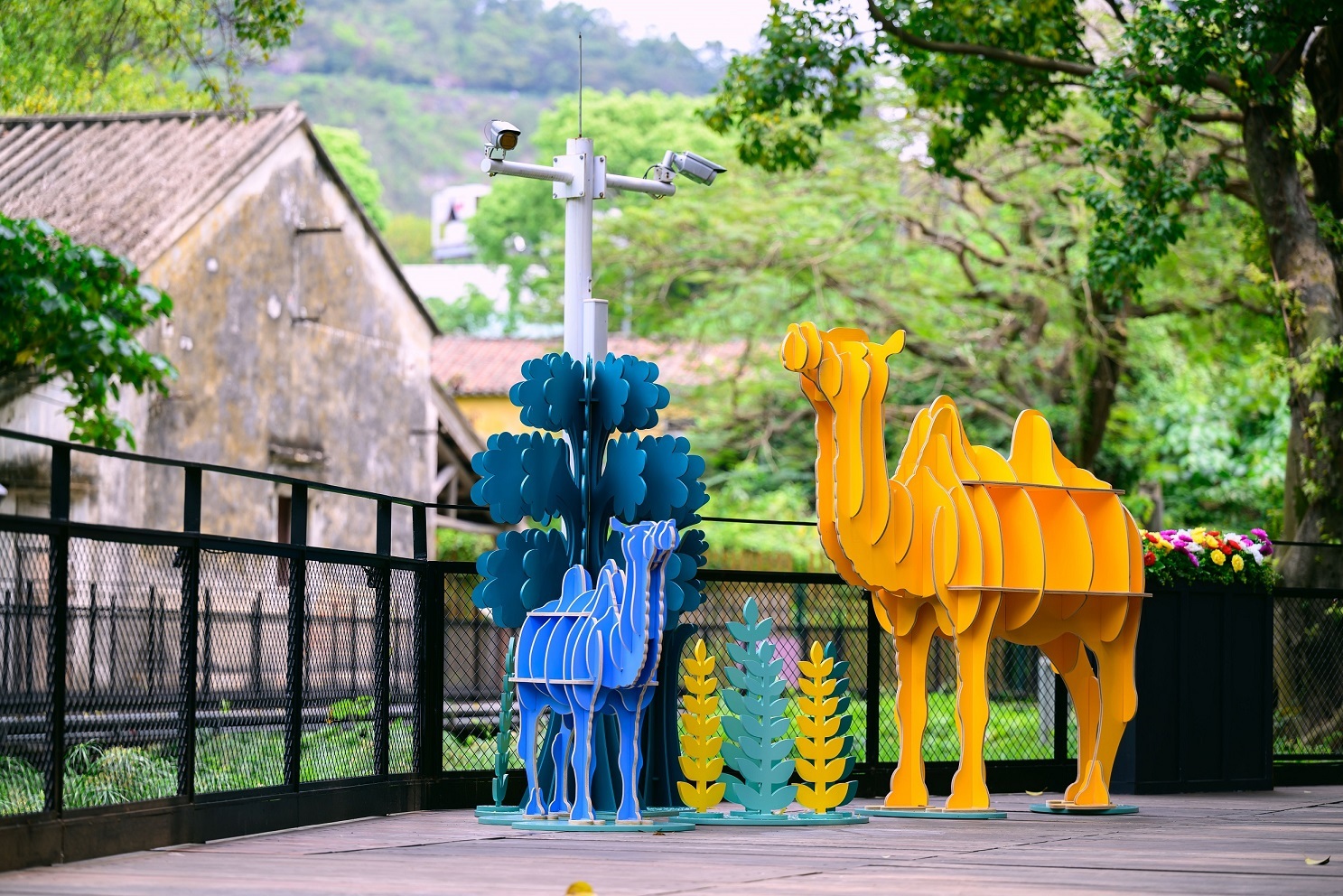 マカオIR運営サンズがタイパ島の観光名所に動物園とロマンステーマのインスタレーション作品設置