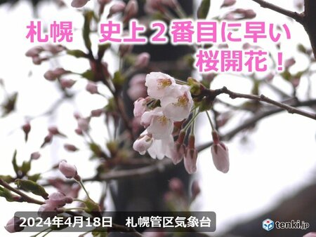 札幌で桜開花　史上2番目の早さに(tenki.jp)