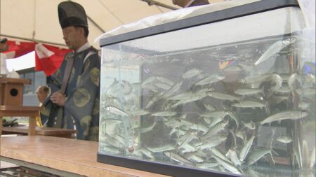 アユ漁解禁を前に、長良川で稚アユ2万匹を放流(CBCテレビ)