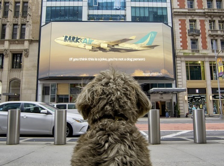 「犬用ファーストクラスの機内がすごすぎる！」世界初のペット用航空サービスに賞賛の声。片道100万円には戸惑いの声も(Pen Online)