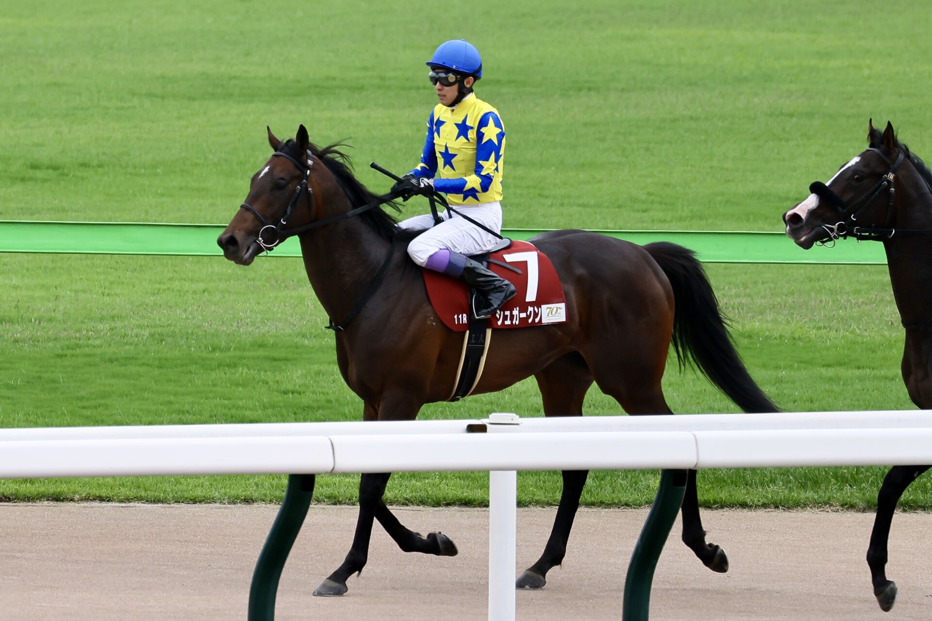 青葉賞】武豊「なんとか間に合った」シュガークンが日本ダービーの権利