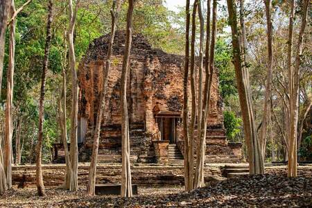 「天空の寺院」ほかカンボジアの知られざる古代遺跡4選、2023年に登録の世界遺産も(ナショナル ジオグラフィック日本版)