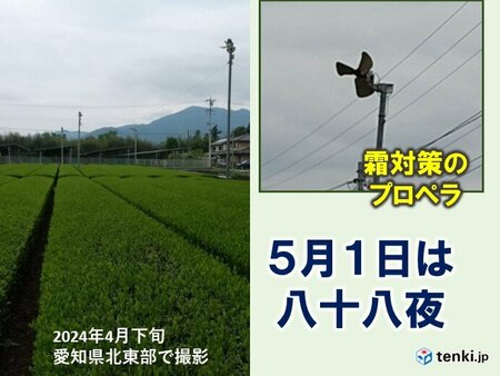5月1日は「八十八夜」　晴れて冷える朝は遅霜に注意　茶畑ではプロペラで対策(tenki.jp)
