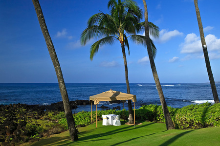 大谷選手はなぜ「ハワイ島」を選んだか　楽園の島のプライベートリゾート事情(Forbes JAPAN)
