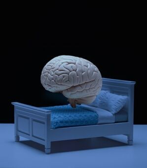 脳波をみれば「何を考えているか」も「見ている夢の内容」もわかる？！　最新脳研究が明らかにする「衝撃の真実」　(現代ビジネス)
