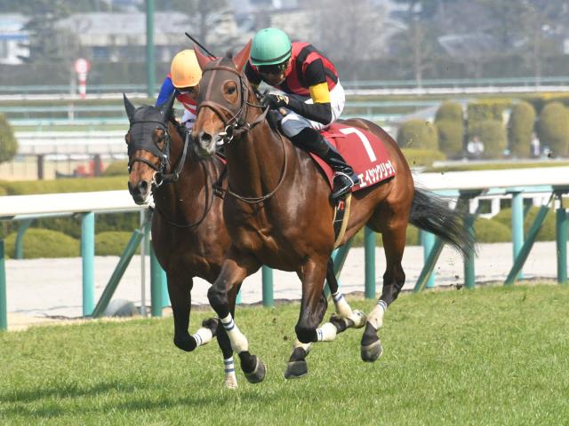 障害路線で活躍した10歳馬エイシンクリックが抹消 阪神競馬場で乗馬に