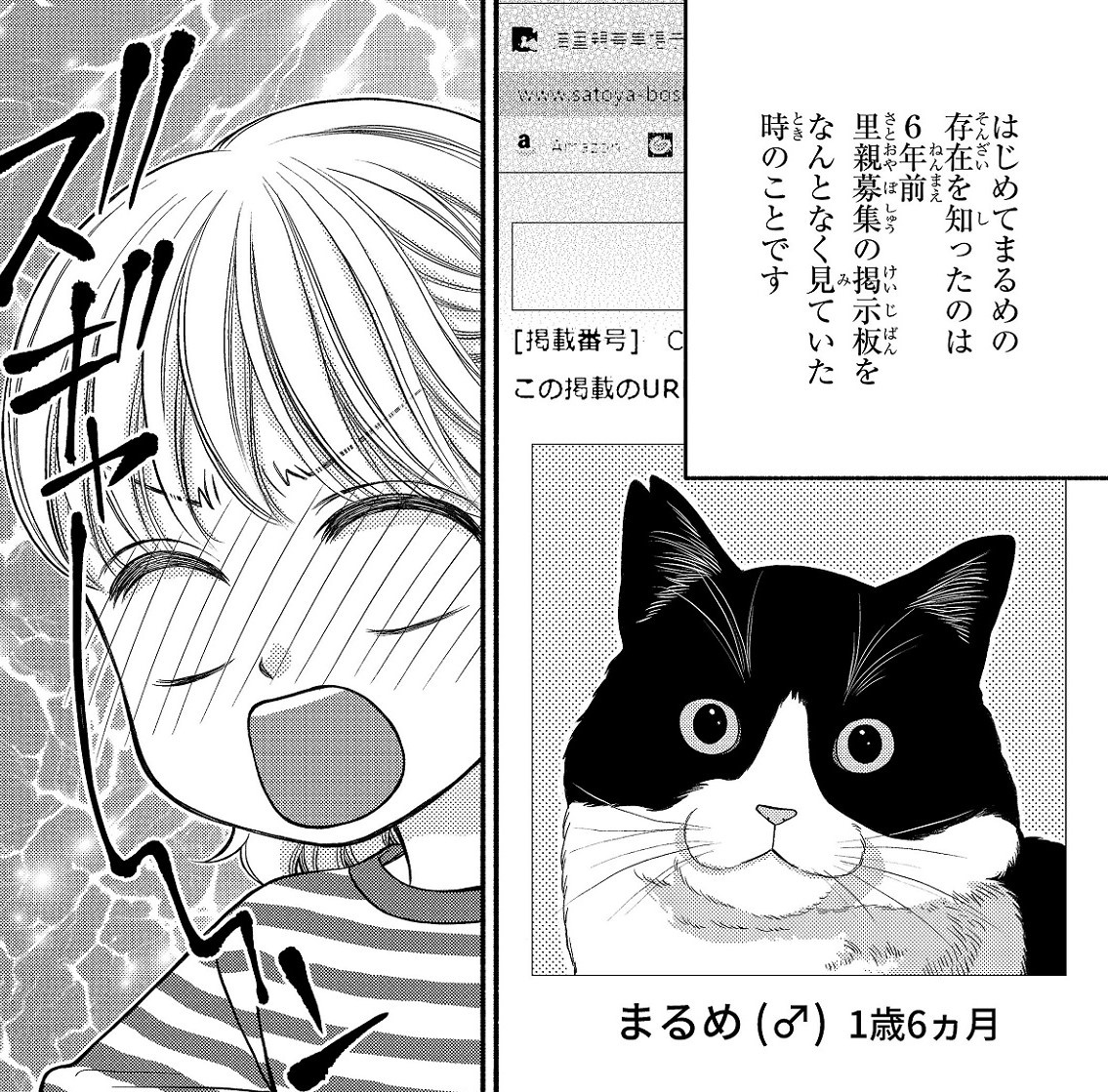 漫画】”保護猫の里親募集”で一目惚れ…作者夫婦の保護猫奮闘記が「成猫をお迎えすることの醍醐味が詰め込まれてました」と話題に（WEBザテレビジョン） -  Yahoo!ニュース