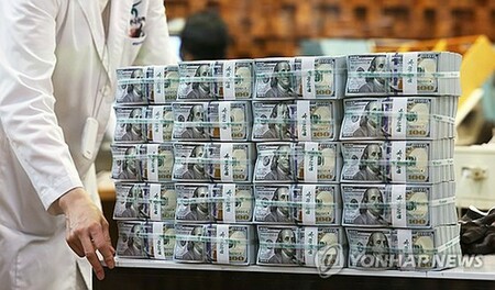 韓国の外貨準備高4132億ドル　前月比60億ドル減(聯合ニュース)