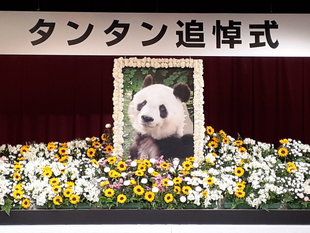 タンタンありがとう、忘れないよ 10日、神戸市立王子動物園で追悼 
