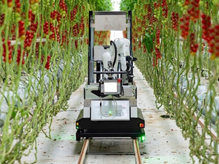 デンソーとセルトン、ミニトマトの全自動収穫ロボット--AIで熟度判定、収穫箱も交換(CNET Japan)