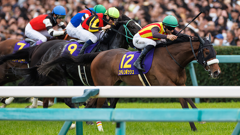 【オークス】データやレベルから桜花賞組を重視　中心はステレンボッシュ、逆転候補はライトバックとクイーンズウォーク